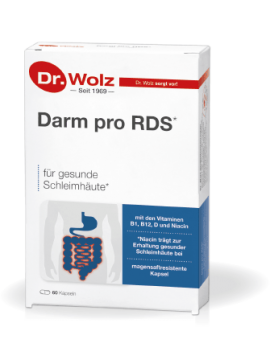 Dr.Wolz Darm pro RDS Reizdarm N60